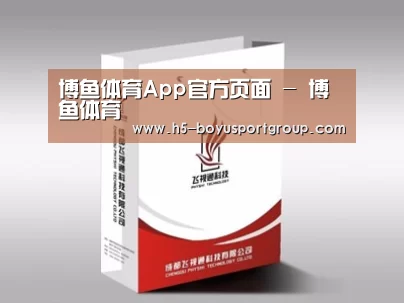项目名称十三