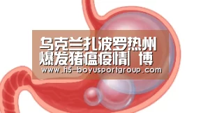  boyu tiyu