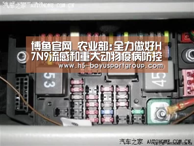  博鱼官网