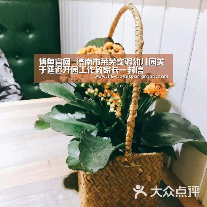  boyu tiyu