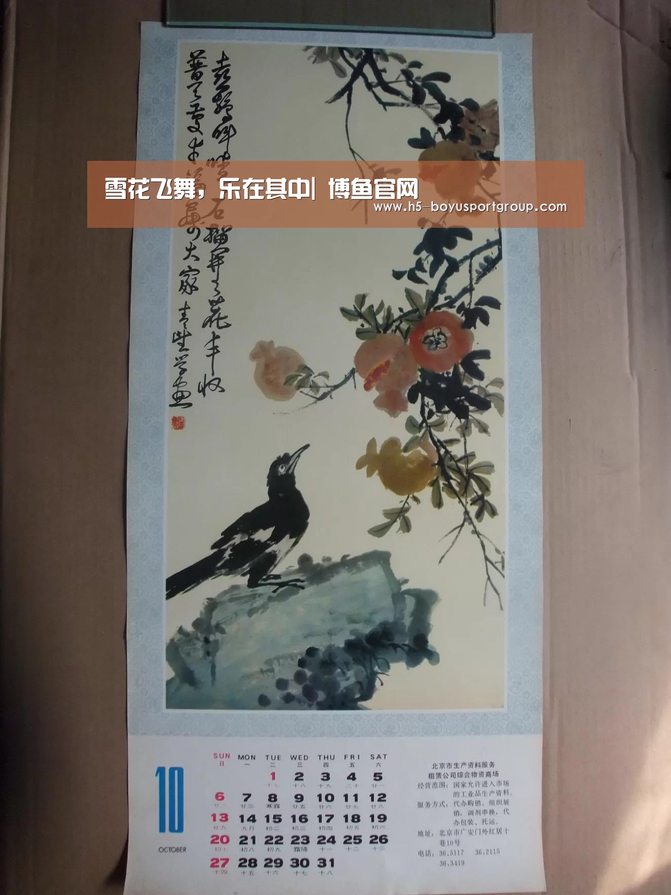  博鱼官网