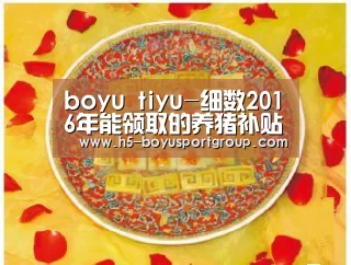 boyu tiyu-细数2016年能领取的养猪补贴(图2) 博鱼官网
